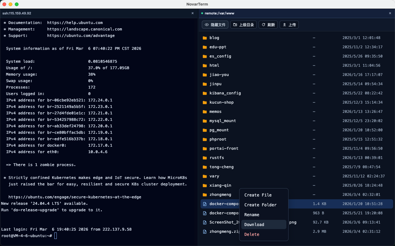 NovarTerm Screenshot 03